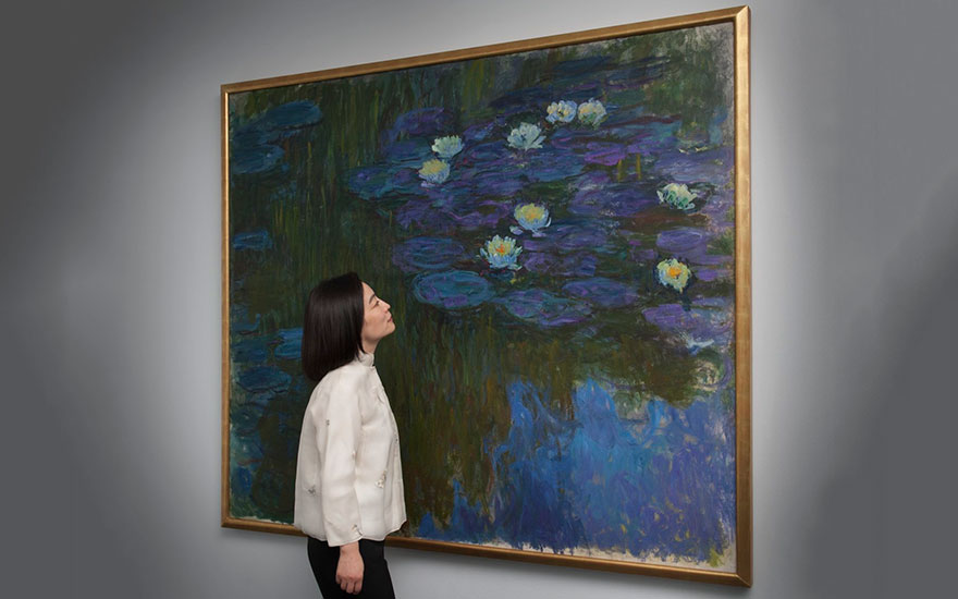 Nymphéas en fleur